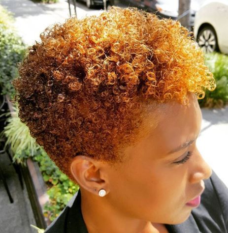 Natural Short Afro Hairstyles, Curly Short Afro Hairstyles, Curly Tapered Natural Hair, My Pins Saved Boards Hair, Female Low Cut Hairstyles, Short Hair Styles Black Women Natural, Tapered Afro 4c Hair, Natural Hair Cuts Shape, Tapered Cut Natural Hair 4c