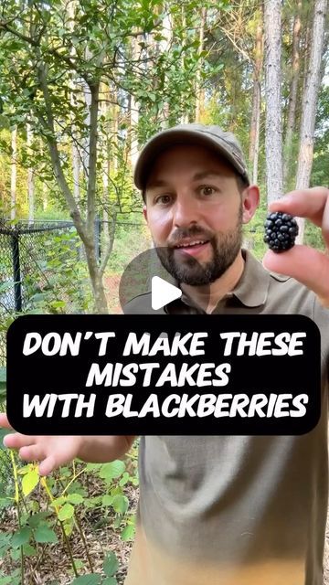 𝐆𝐚𝐫𝐝𝐞𝐧𝐢𝐧𝐠 | 𝐏𝐥𝐚𝐧𝐭𝐢𝐧𝐠 | 𝐇𝐚𝐫𝐯𝐞𝐬𝐭𝐢𝐧𝐠 on Instagram: "How to properly grow BLACKBERRIES 🥰
-
This video belongs to @theplanttechie so go check out their Instagram. Don’t forget to follow for more knowledgeable gardening tips @gardeners.academy ! 💚

This is shared for the purpose of spreading positivity. If the content OWNER (visual/audio) of this post has any issue, dm me  and I’ll remove the post.
-
(All rights® are reserved & belong to their respective owners)
-
Credits🎥 @theplanttechie 
Publisher 🎬@gardeners.academy
-

#blackberries #fruit 

#gardening #garden #backyardgardening #gardenlove #veggiegarden #indoorplants" Grow Blackberries, Growing Blackberries, Berry Picking, Gardening Diy, Spreading Positivity, School Garden, Grow Your Own Food, Support System, Veggie Garden