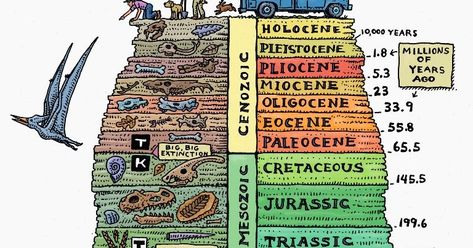 The geological time scale (GTS) is a system of chronological measurement that relates stratigraphy to time, and is used by geologists, paleontologists Geologic Time Scale, 10 Interesting Facts, Plate Tectonics, Human Activity, Poor People, English Study, Famous Books, Science And Nature, Ecology