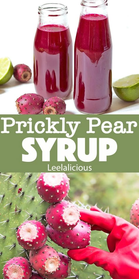 Prickly Pear Cactus Margarita, Canning Prickly Pear Juice, Prickly Pear Juice Recipe, Prickly Pear Cactus Pad Recipes, Prickly Pear Harvesting, Prickly Pear Jam Recipe, Cactus Jelly Recipe, Prickly Pear Syrup Drinks, Prickly Pear Ice Cream