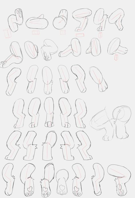 Leg Study, Leg Angles, Leg Drawing, Paw Drawing, Cat Drawing Tutorial, Creative Drawing Prompts, Art Tools Drawing, Concept Art Drawing, Creature Concept Art