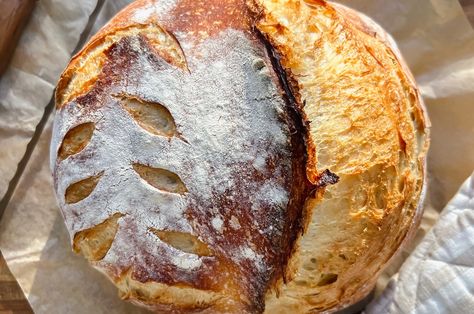 Homemade Artisan Sourdough Loaf - Daddio's Kitchen Beginners Bread Recipe, Artisan Sourdough, Sourdough Loaf, Dutch Oven Bread, Sourdough Baking, Sourdough Bread Recipe, Loaf Recipes, Easy Bread Recipes, Easy Bread