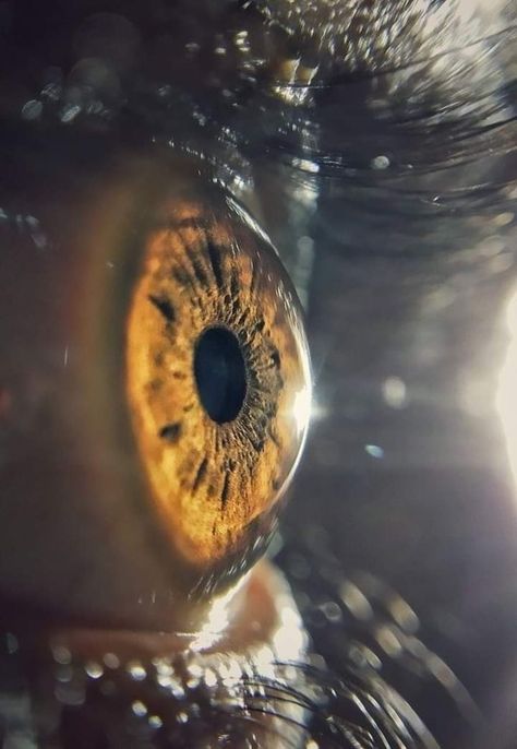 Human Eyes Photography, Micro Lens Photography, Human Eye Close Up, Photos Of Eyes Photography, Microscopic Photography Human, Eyes Close Up Photography, Eye Images Photography, Eye Pictures Photography, Magnification Photography