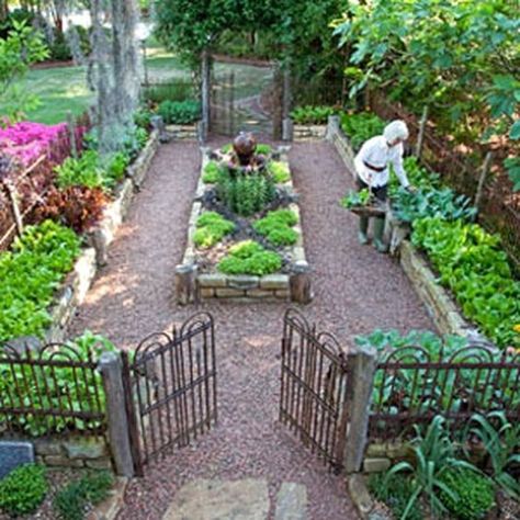 Space Garden, Backyard Sanctuary, Small Vegetable Gardens, Vegetable Garden Planning, Potager Garden, Backyard Vegetable Gardens, Garden Idea, Family Roots, Garden Types