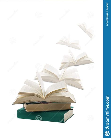 Books Flying, Pile Of Books, Magic Treehouse, About Time, Tree House, Favorite Books, To Read, White Background, Photo Image