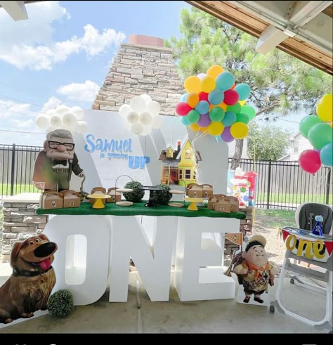 Up Party Theme Disney, Up Themed Birthday Party Pixar, Up Birthday Party Theme Disney, Up First Birthday Party, Up Birthday Party Theme, Up Birthday Theme, Joshua Birthday, Boy Birthday Themes, Baby Boy Birthday Themes