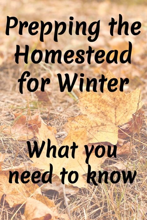 Preparing the Homestead for Winter – A Stray Kitchen Winter Homesteading, Winter Homestead, Essential Oil Bug Spray, Preparing For Winter, Draft Blocker, Bug Spray, The Homestead, Time Saver, Lists To Make