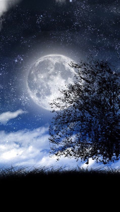 Beautiful Moon Night, Full Moon Photography, Beautiful Moon Pictures, Moon And Stars Wallpaper, Moonlight Photography, Painting Portraits, Amoled Wallpapers, Night Sky Photography, Expressing Love