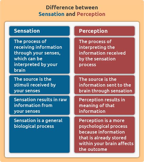 Sensation And Perception, Perception Psychology, English Vocabulary Games, Learning Psychology, Psychology Notes, Psychology Studies, Nurse Study Notes, Vocabulary Games, Work Motivational Quotes