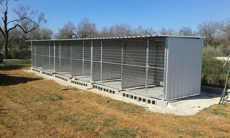 Poultry Breeding Pens, Animals Sanctuary, Pig Sty, Chicken Rearing, Rabbit Farming, Dog Boarding Facility, Dog Boarding Kennels, Dog Kennel Designs, Kennel Ideas