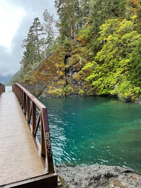 Adventures with Apple : Lake Crescent and the Spruce Railroad Trail — ciderpress lane Lake Crescent Washington, Aristocrat Trailer, Washington Summer, Lake Crescent, Crescent Lake, Washington Travel, Olympic Mountains, The Spruce, Port Angeles