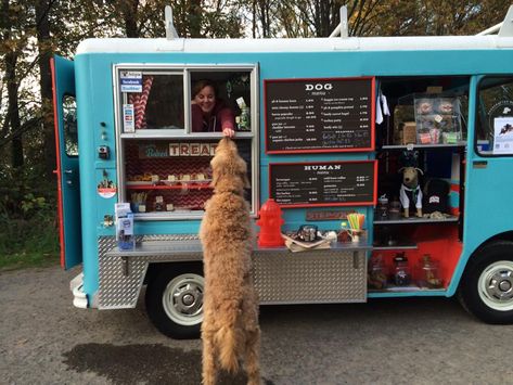 Dog Food Truck, Dog Daycare Design, Dog Daycare Business, Seattle Dog, Indoor Dog Park, Dog Boarding Facility, Pet Store Ideas, Pet Cafe, First Dog