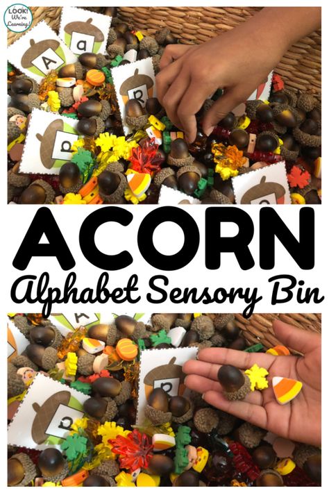 Acorn Sensory Bin, Squirrel Sensory Bin, November Sensory Bin Preschool, Fall Sensory Bin Preschool, November Sensory Bin, Sensory Bin Diy, Alphabet Sensory Bin, K4 Classroom, Fall Sensory Bin