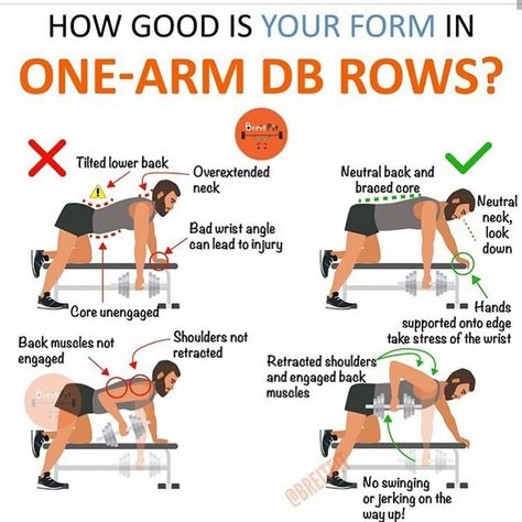 Shoulder And Trap Workout, One Arm Dumbbell Row, Traps Workout, Latissimus Dorsi, Back Workouts, Gym Workout Chart, Gym Tips, Training Workouts, Workout Chart