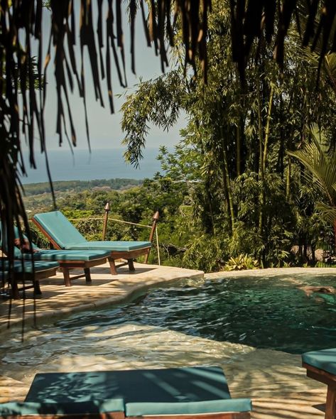 Walking around our Costa Rica Retreat property like…. 😍🤤🌴🌊 Only a few spots left for our upcoming women’s retreat in Costa Rica, Activate your Wild Magic ✨ March 17-23, 2025 Join us by applying in our bio today ✈️ All retreats can be found on coherenceretreats.com You can also find details in our bio or send us a DM for more info 💌 #retreats #womensretreat #spiritualretreat #wellnessretreat #yogaretreat Costa Rica Retreat, Wild Magic, Tropical Retreat, Vision 2025, Spiritual Retreat, Womens Retreat, March 17, 2025 Vision, Yoga Retreat