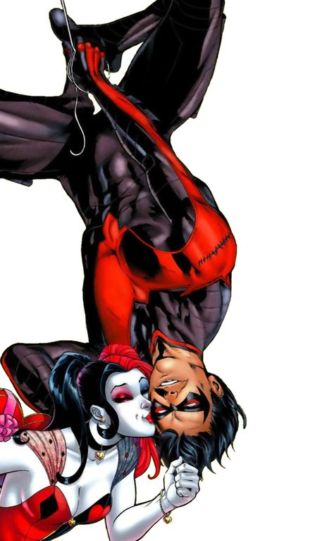 Harley And Nightwing, Nightwing X Harley Quinn, Nightwing And Harley Quinn, Harley Quinn And Nightwing, Couple Cosplay, Harley Quinn Artwork, Dc Collectibles, Harley Quinn Cosplay, Dc Comics Characters