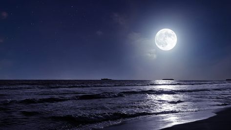 Full Moon in August 2022: The Last Supermoon | Sturgeon Moon Meaning | Star Walk Full Moon July, Full Blue Moon, Corn Moon, Sturgeon Moon, Moon Meaning, Perseid Meteor Shower, Next Full Moon, Goodnight Moon, Moon Calendar