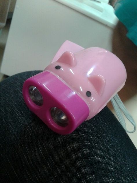 Cute big pig light(flashlight) Big Flashlight, Big Pigs, Future Planning, Light Flashlight, Piggy Bank, Flashlight, Toys, Quick Saves