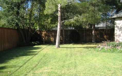 Backyard Renovation with Pool … BEFORE. The backyard was essentially empty. Normal Backyard, Insane Backyard, Backyard Background, Small House Big Yard Aesthetic, Suburban Backyard Pool, Empty Set, Liminal Space Swimming Pool, Empty Pool, Sky Lake