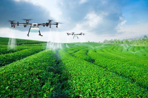 Oscar Wilde Tattoo, Agriculture Drone, Smart Farm, Farming Technology, Precision Agriculture, Modern Agriculture, Drone Technology, Internet Of Things, Soil Health