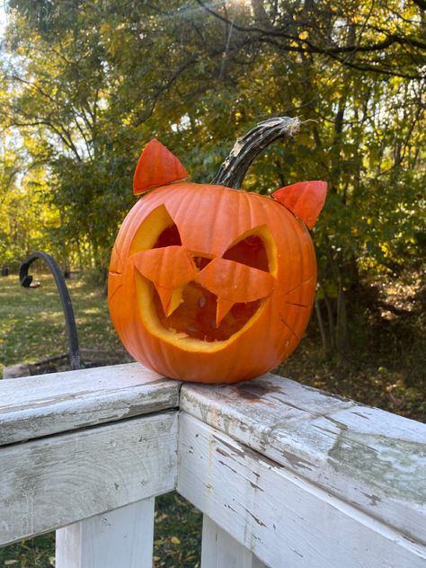 pumpkin carving of cat Halloween Punking Carving, Kids Carved Pumpkin Ideas, Pumpkin Carving Moo Deng, Simple Pumpkin Carving Idea, Freehand Pumpkin Carving, Pum0kin Carving, Scary Cat Pumpkin Carving, Pumpk8n Carving, Jack O Lantern Inspiration