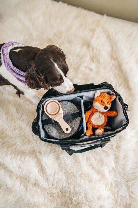 The Best Travel Organizer Bag For Your Dog - You’ll Love #4’s Feature on the List Pet Travel Essentials, Travel Dog Accessories, Dog Travel Bag Essentials, Dog Suitcase, Travel Organizer Bag, Pet Carrying Bag, Puppy Travel Bag, Dog Bags, Dog Organization