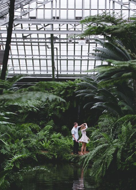 Botanical Garden Photo Shoot, Greenhouse Photos, Garden Photoshoot, Garfield Park Conservatory, Ambitious Kitchen, Our Engagement, Wedding Pic, Fabulous Wedding, Gardens Wedding