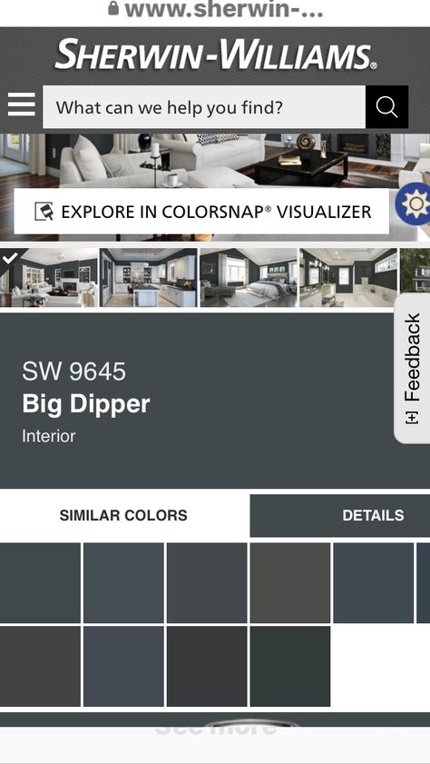 Sherwin Williams Big Dipper Paint, Big Dipper Sherwin Williams, Sherwin Williams Big Dipper, Sherwin Williams Caviar Exterior, Sherwin Williams Software, Software Paint Sherwin Williams, Big Dipper, Color Palate, Sherwin Williams