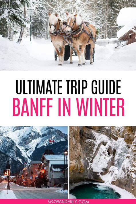 Find the best winter activities for an unforgettable Banff vacation. Banff Trip, Banff Winter, Bucket List Activities, Things To Do In Banff, Johnston Canyon, Winter Travel Destinations, Pretty Views, Solo Travel Destinations, Banff Canada