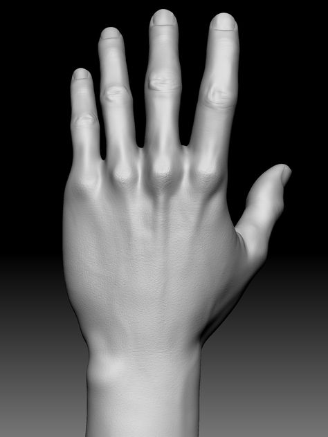 ArtStation - Realistic hand sculpture study in Zbrush, Christopher Hunt Back Of Hand Drawing Reference, Hand Template, Hand Sculpture Poses, Hand Retopology, Hand Statue Sculpture, 3d Hand Casting, Half Sleeve Tattoo Template, Hands Sculpting Zbrush, Drawings With Meaning