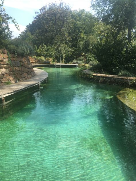 Big Swimming Pools, Natural Swimming Ponds, Diy Swimming Pool, Swimming Pond, Natural Pond, Natural Swimming Pools, Natural Swimming Pool, Backyard Pool Landscaping, Pond Design