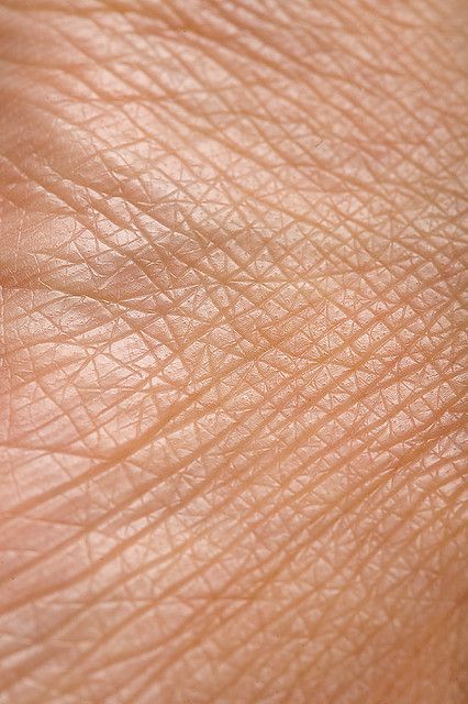 Skin Close Up Texture, Nature Details Photography, Skin Close Up, Human Skin Texture, Textures Photography, Texture Skin, Interesting Textures, Skin Details, Hand Lines