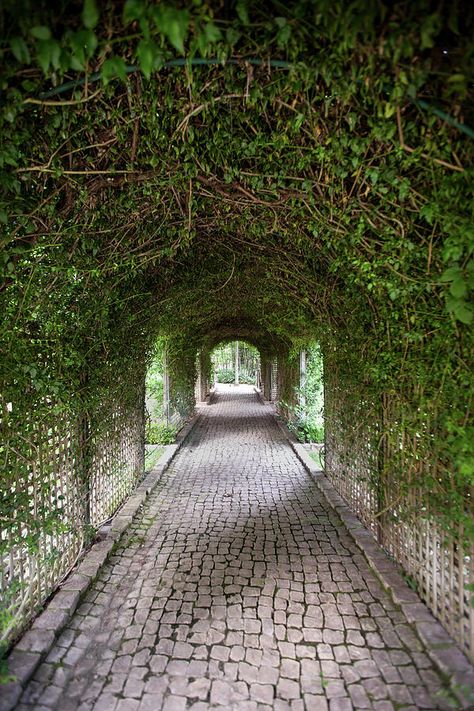 Scotland Aesthetic, Cobblestone Path, Cobblestone Driveway, Signs From The Universe, Broken Images, Childhood Home, Twin Flames, Green City, Fantasy Castle