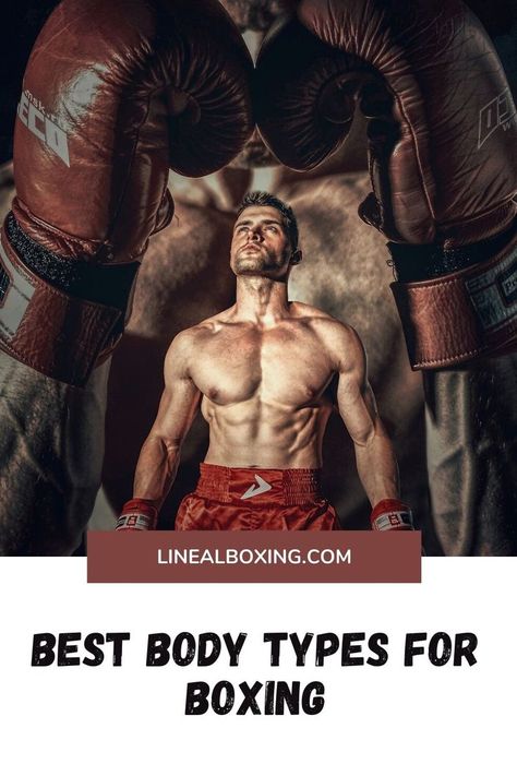 In this article we cover in detail the various body-types and how they fit into boxing as well as the different strenghes and weaknesses of each body type and how to leverage them to your advantage #linealboxing #champions #boxing #boxers Boxing Basics, Boxer Training, Muscle Mass, Body Fat, Body Types, Martial Arts, Bodybuilding