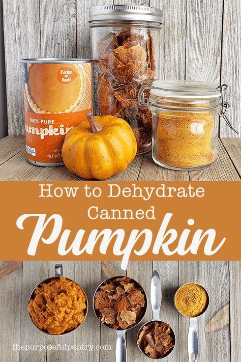 Dehydrating Pumpkin, Dehydrate Pumpkin, Things To Dehydrate, Preserve Pumpkins, Pumpkin Flour, Dehydrator Ideas, Pumpkin Powder, Fruit Powders, Dehydrating Food Storage