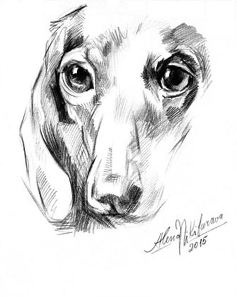 Dachshund Sketch, Dachshund Portrait, Etsy Drawing, Arte Dachshund, Dachshund Drawing, Artwork Black And White, Doxie Art, Dachshund Tattoo, Tattoo Dog