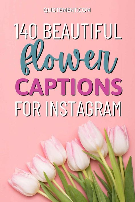 140 Beautiful Flower Captions To Make Your Post Stand Out Qoutes About Flower Bloom, Selfie With Flowers Instagram Caption, Flower Posts Instagram, Picking Flowers Quotes, Fresh Flowers Quote, Flower Picking Captions, Flowers Bloom Quotes, Bloom Captions For Instagram, Flower Bloom Quote