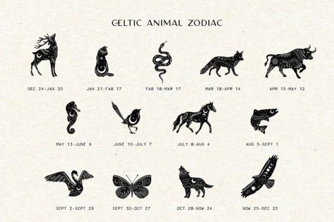 January Zodiac Sign, Celtic Zodiac Signs, Animal List, Celtic Zodiac, Zodiac Signs Animals, Celtic Animals, Western Signs, Animal Zodiac, Animal Spirit