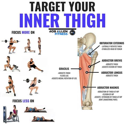 Rob Allen on Instagram: “💥INNER THIGH💥 . Follow @roballenfitness for more fitness/nutrition info 😎 . The “ABDuctors” of your leg get all the glory. They work your…” Adductor Exercises, Outer Thigh Workout, Inner Thigh Muscle, Quad Muscles, Arm Exercise, Inner Thigh Workout, Thigh Muscles, Thigh Exercises, Inner Thigh