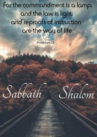 Sabbath Shalom... way of life Sabbath Greetings Shabbat Shalom, Saturday Sabbath, Light To My Path, Happy Sabbath Quotes, Sabbath Quotes, Shabbat Shalom Images, Messianic Judaism, Sabbath Rest, Proverbs 6