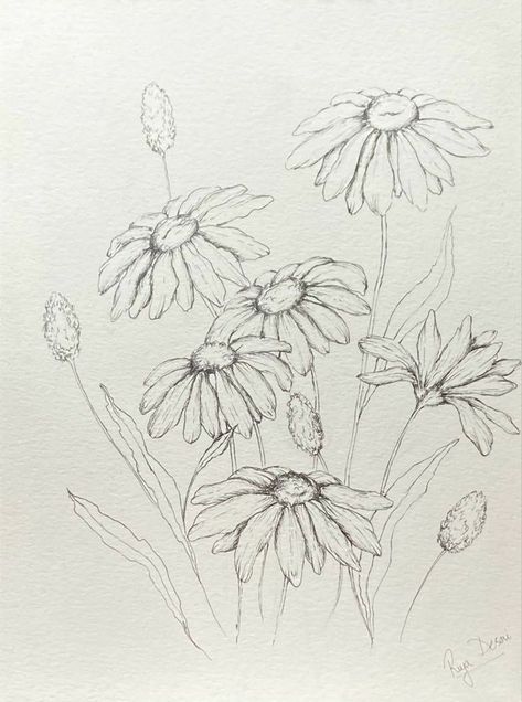 Flower Sketch Pencil, Flower Sketch, Sketch Pencil, A Pencil, Pencil Drawing, Flower Drawing, Pen And Ink, Art Drawings, Sketch