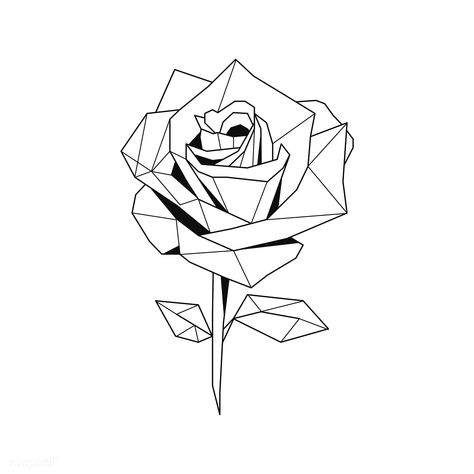 Linear illustration of a rose flower | premium image by rawpixel.com / poyd Geometric Flower Drawing, Geometric Rose Tattoo, Linear Illustration, Rose Outline, Linear Art, Flower Geometric, Geometric Rose, Polygon Art, Geometric Tattoo Design