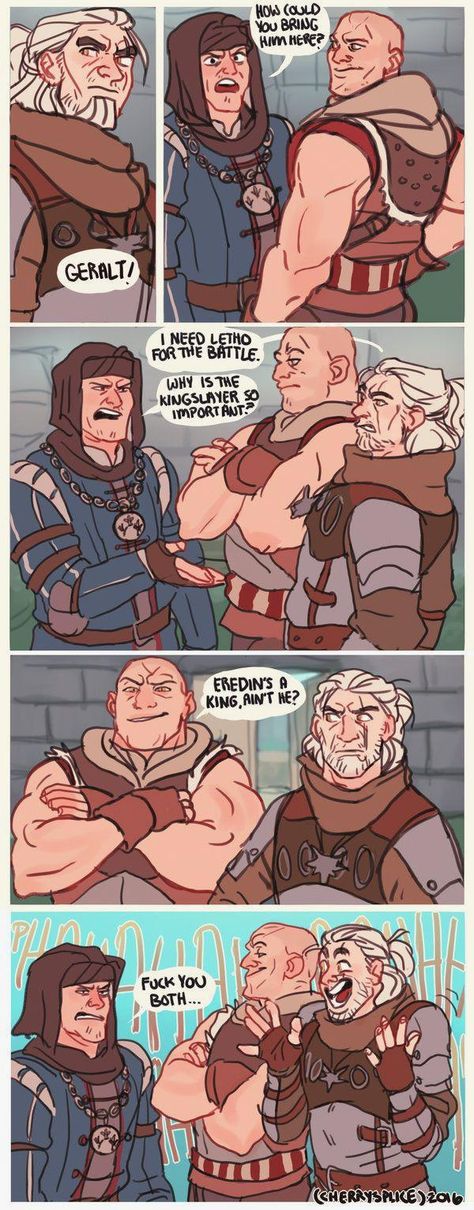 The Witcher Books Cover, Witcher 3 Funny, Geralt Witcher 3 Meme, Witcher 3 Memes, Eskel Witcher, Witcher Funny, Witcher 3 Art, Vernon Roche, Witcher Monsters