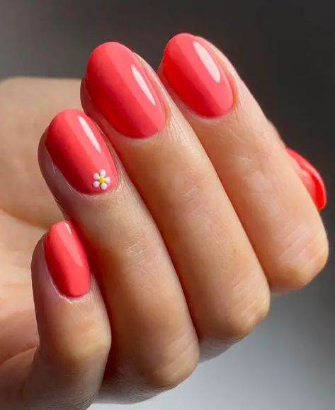 35 Bright Summer Nail Ideas Holiday Nails Summer 2023 Bright, Summer Sns Nails 2024, Pink Holiday Nails Summer, Holiday Nails Summer 2023, Holiday Nails Summer, Coral Acrylic Nails, Uñas Color Coral, Coral Nail Art, Coral Gel Nails