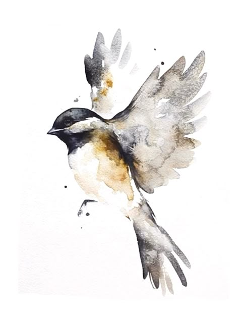 Watercolor Birds Tutorial, Chickadee Art, Watercolour Animals, Bird Watercolor Art, Watercolour Bird, Painting Birds, Bird Artists, Bird Watercolor Paintings, Watercolor Birds