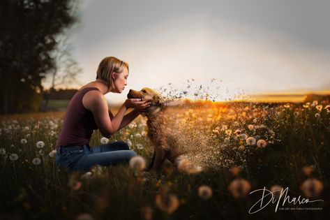 Dog Euthanasia Photoshoot, Dog Memorial Photo Shoot, Celebration Of Life Pet Photography, Dogs Last Day Photoshoot, Old Dog Photoshoot, Dogs Last Day Ideas, Dog Last Day, Family Dog Pictures, Dog Photoshoot Pet Photography