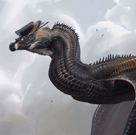 Creature Artwork, Alien Concept, Alien Concept Art, Monster Concept Art, Creature Drawings, Fantasy Creatures Art, Dragon Artwork, Mythical Creatures Art, Dragon Drawing