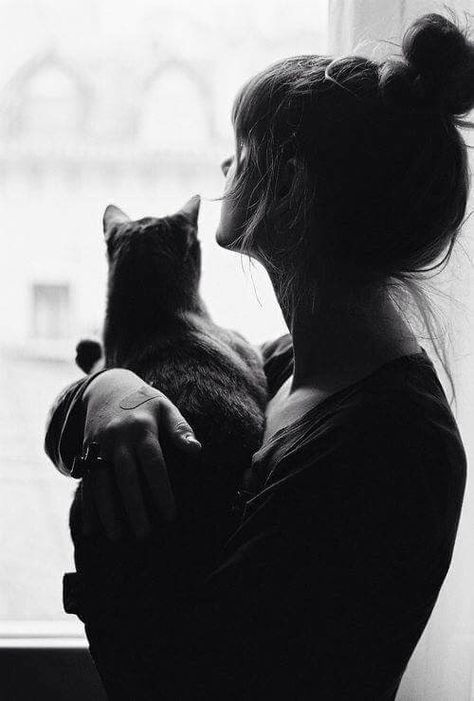 Heartwarming Photos, Cat Pose, Foto Tips, Foto Poses, Cat Photography, Crazy Cat Lady, Cat Photo, The Window, Crazy Cats