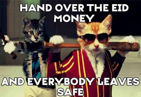 Eid Mubarak! ^ cool cats ~ Happy Eid al-Fitr Funny Dp, Funny Cat Wallpaper, Cat Quotes Funny, Funny Images Laughter, Cat Quotes, Funny Cat Memes, Funny Cat Pictures, Funny Video Memes, Some Funny Jokes