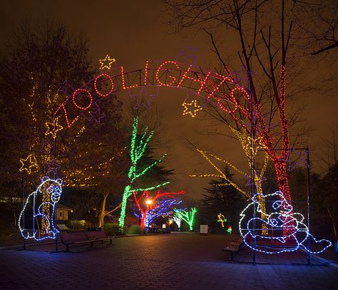 Zoolights 2012  National Zoo  Washington, DC  20121229 Kalorama Washington Dc, National Zoo Washington Dc, Adler Planetarium Chicago, Planet Zoo Backstage, Kansas City Plaza Lights, Washington Dc, All Things Christmas, Christmas Lights, Washington